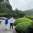 드림디포 앞 버스정류장 이미지