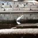 대방천녹지대 이미지