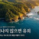 프랑스 자수(야간) | 5월 황금연휴, 해외 갈 돈 아껴서 국내 '이곳'으로? 놓치면 1년 후회할 제철 여행지 가이드