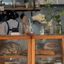 프라한 남천점 이미지