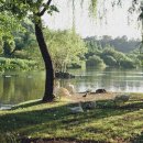 순천중앙시장 이미지