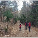 팔공사슴농장 이미지