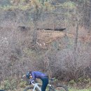 GS25 진접부평리점 이미지