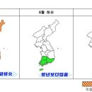 [6월중순~7월초] 제주도날씨 예보 이미지