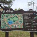 고촌제1근린공원 화장실 | 대구 달서구 아이랑 갈만한곳 선돌마당근린공원, 선돌공원
