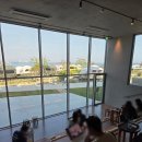 빵트리 | 울산서생 대형카페 도우트리 빵맛집 솔직후기