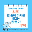 고전을 통한 인문학 (충의효) | 시조문학사전_1 한 손에 가시를 들고(탄로가)_우탁_내신과 수능을 위한 시조 모음, 시조 원문, 현대어...