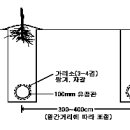 암거배수 시설이 필요한 과수원과 설치 방법은? 이미지