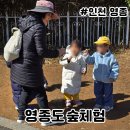 영종유치원 | 영종도 유치원 학교숲 숲놀이 체험
