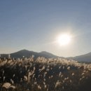 내고1농로 이미지