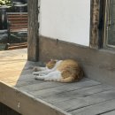 도돌코딩학원 이미지
