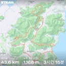 봉우제 티스토리