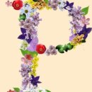 팔체질과 체질약선 이미지