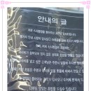 명장초밥 이미지