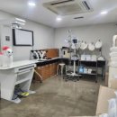 솔펫 애견미용놀이터 이미지