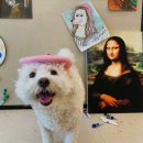 동선유치원 이미지