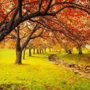 하늘빛정신건강의학과의원 이미지