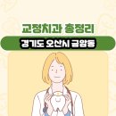 경기도 오산시 금암동 교정치과 총정리
