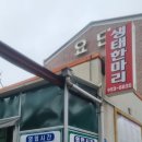 전통뚝배기생태한마리 | 하루 딱 4시간의 마법, 시원한 국물에 감동하는 '생태한마리' 솔직 후기