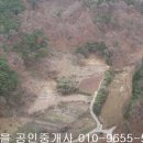 약천리 Daum카페