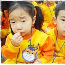 환타랜드숲유치원 이미지