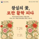 꽃모란 이미지