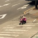 아름다운산책