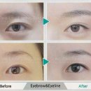 부일로C 이미지