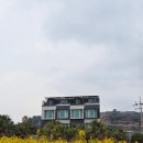 더큐브펜션 | 제주도 제이큐브 펜션 후기｜4만원대 가성비 숙소 + 바베큐까지 가능했던 곳!