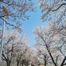 백곡천2 이미지