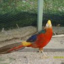 금계농장 이미지