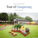 옥계쌍둥이동물농장 이미지