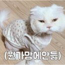 웰컴투더헬