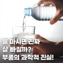 밤새 헬스장 | 💧 물 많이 마시면 진짜 살 빠질까? 부종·대사·체온 연결고리 | 상대동PT 상대동헬스장 피트니센스PT