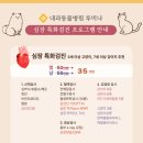 내과동물병원 루미나 이미지