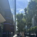 오렌즈 선릉점 | w01. 웨딩홀 투어 : 아펠가모 선릉 상담 및 계약 후기 (계약 O)