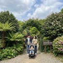 정원약품 | 에버랜드 나비정원, 사진 망치는 딱 1가지 실수?