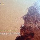 나란히 흐르다 이미지