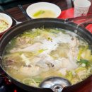 샘골 | [용인 맛집] 육수가 대단한 닭한마리집 방문 후기 <샘골닭한마리칼국수>