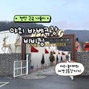 비비킹 펜션 | 천안 야외 바베큐장 아이와 가볼만한 비비킹 후기