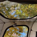 물결캠핑장 이미지