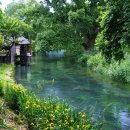 대왕농장 이미지