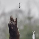 천마농장 이미지