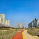 창릉천수변공원 티스토리