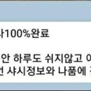 마젤란 카카오 검색결과