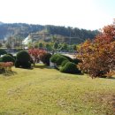 명지초등학교 이미지