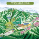 무주리조트회원권거래소 이미지