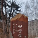 자작나무쉼터 | 강원도 인제 자작나무숲 / 주차, 등산코스 총정리