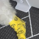 아이랑 동물병원 이미지