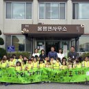 봉평면사무소 이미지